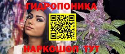 эйфоретик Гай