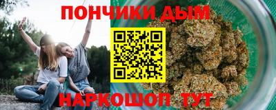 эйфоретик Гай